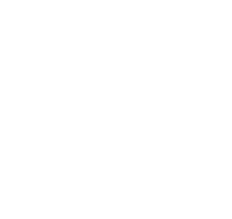 Money Bag 